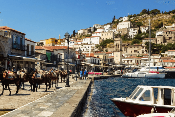Donkeys at the port of Hydra - Saronic Gulf Islands